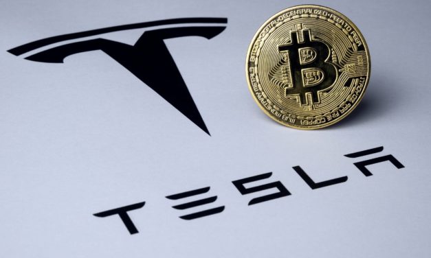 Dank Elon Musk: Bitcoin ist wertvoller als US-Riese Tesla