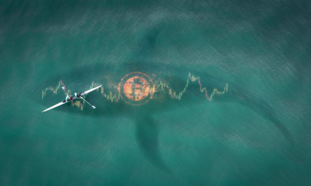 18.000 Bitcoin: Anonyme BTC-Wale decken sich massiv ein