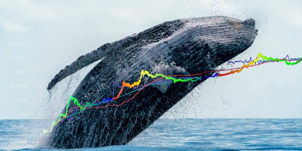 Bitcoin-Verteilung: 50 Prozent der Wallets halten nur 0,02 Prozent der BTC