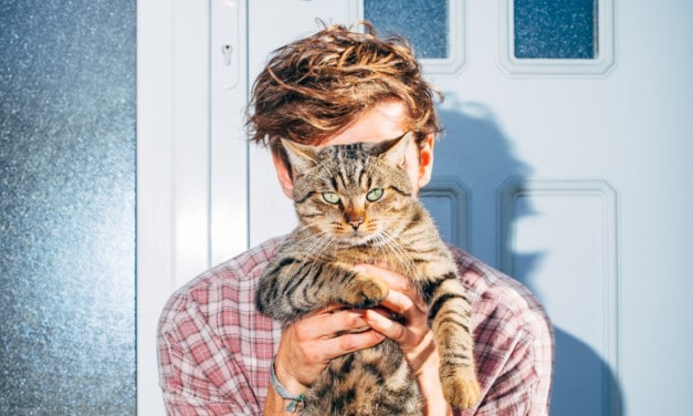 NFT-Premiere: Fynn Kliemann versteigert Musikstücke