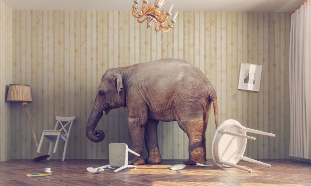 Natürlich müssen wir über Bitcoin reden – ein Debattenbeitrag