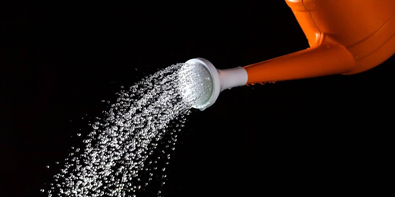 Krisenresistent: Schweizer Crypto Valley wächst und wächst