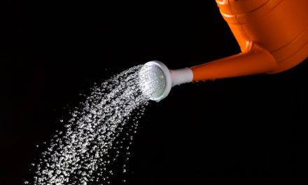 Krisenresistent: Schweizer Crypto Valley wächst und wächst