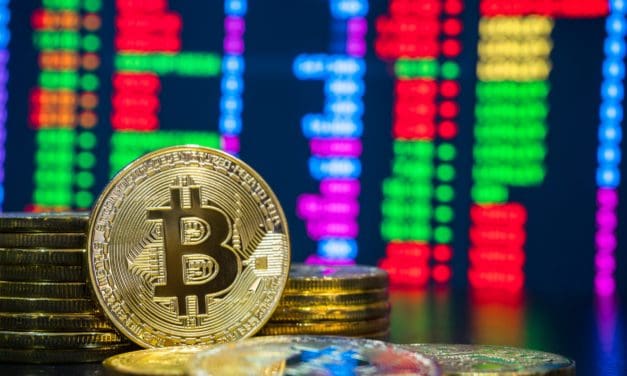 Bitcoin-Walsterben macht Platz für BTC-Kleinanleger