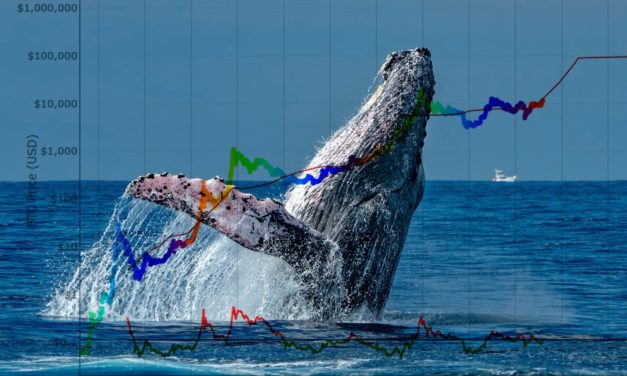 Bitcoin: Was ist eigentlich das Stock-to-Flow-Modell?