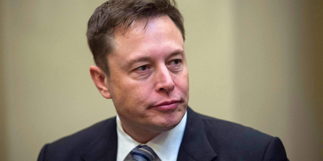 420 Millionen Dogecoin: Elon Musk nimmt NFT-Hype aufs Korn