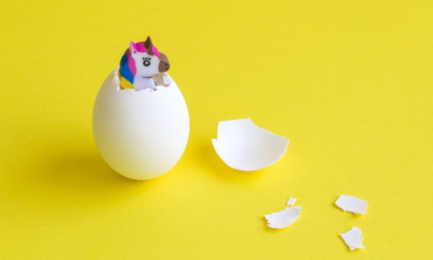 1.000.000.000 US-Dollar: Bitpanda wird zu Österreichs erstem „Unicorn“