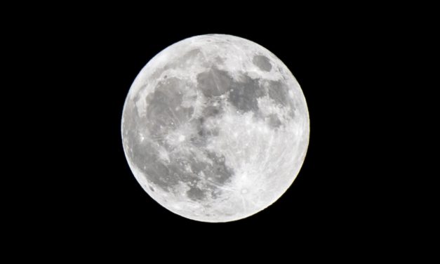 SafeMoon: Dieser Coin könnte in die Fußstapfen von Dogecoin treten