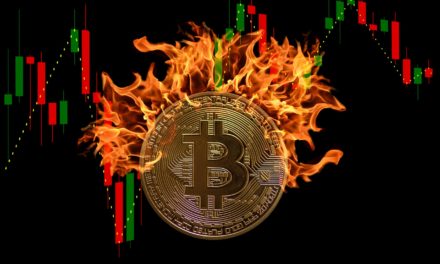 Bitcoin-Kurs „absolut bullish“: Wann kommen die 60.000 USD?