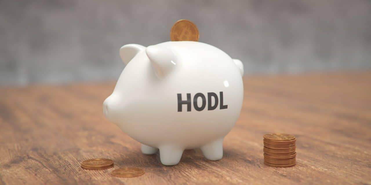 Ein attraktiver Coin zum Hodln – und der Preis steigt