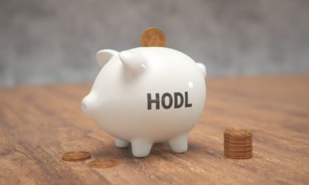 Ein attraktiver Coin zum Hodln – und der Preis steigt