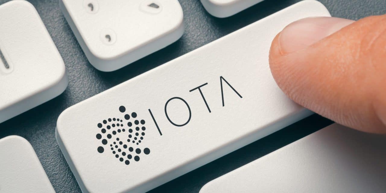 Heimischer Support: IOTA-Mitgründer steigt bei credX ein