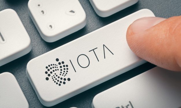 Heimischer Support: IOTA-Mitgründer steigt bei credX ein
