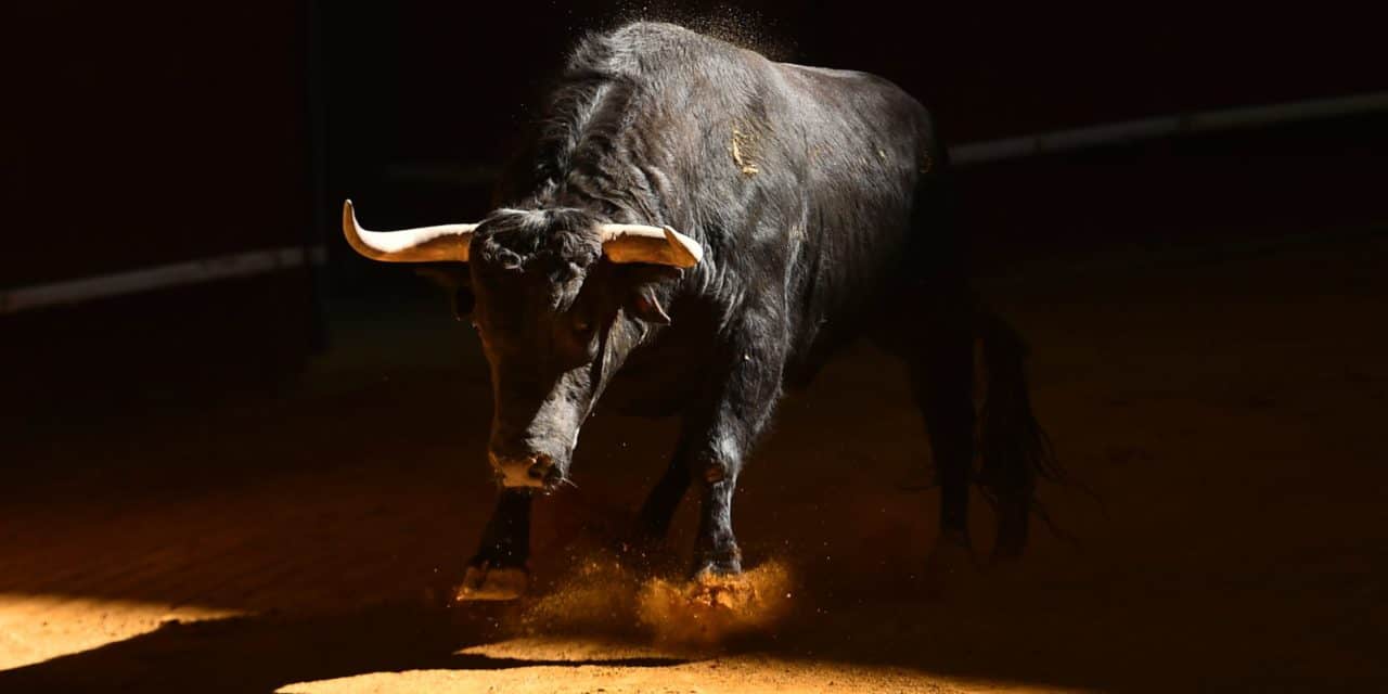 Bullenfutter: Bitcoin-Optionen verfallen in Rekordhöhe