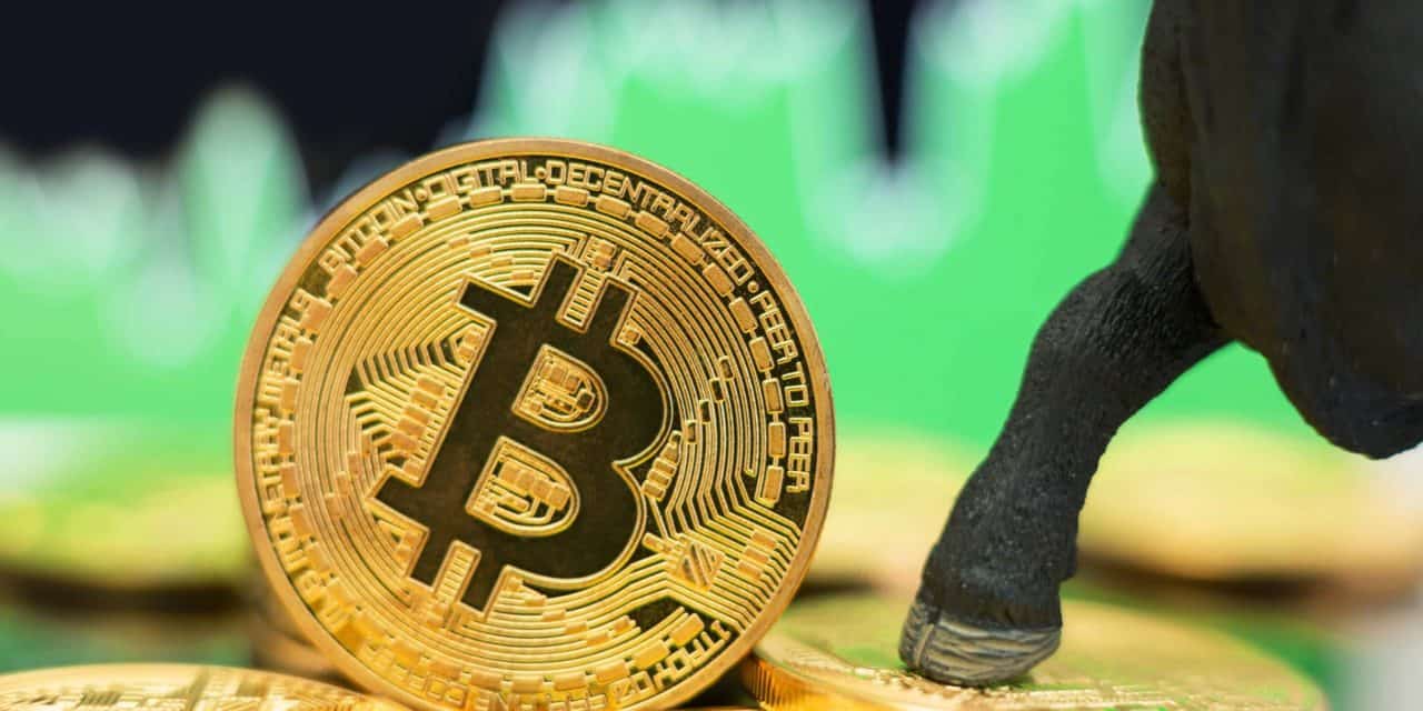 Nächster Halt Allzeithoch? Neue Hodler-Generation gibt Bitcoin Aufwind