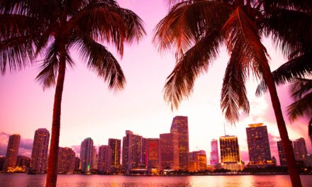 Wie Miami zur Bitcoin-Hauptstadt der Welt wird