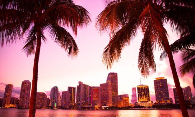 Wie Miami zur Bitcoin-Hauptstadt der Welt wird