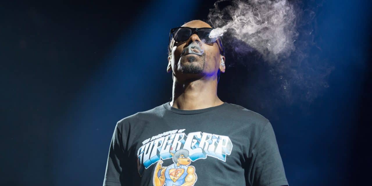 NFTs: The Pitch – Snoop Dogg, Ashton Kutcher suchen nächsten NFT-Star