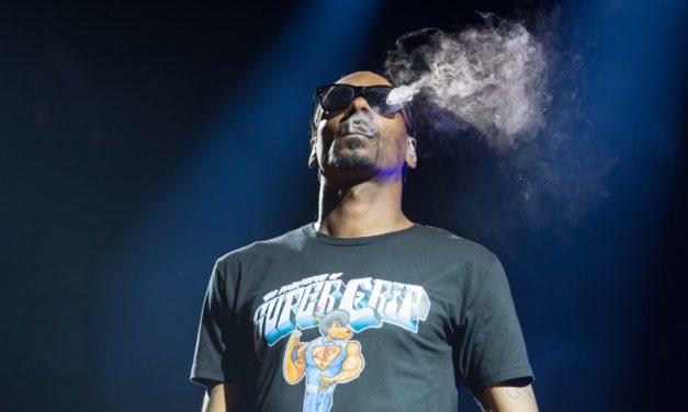 NFTs: The Pitch – Snoop Dogg, Ashton Kutcher suchen nächsten NFT-Star