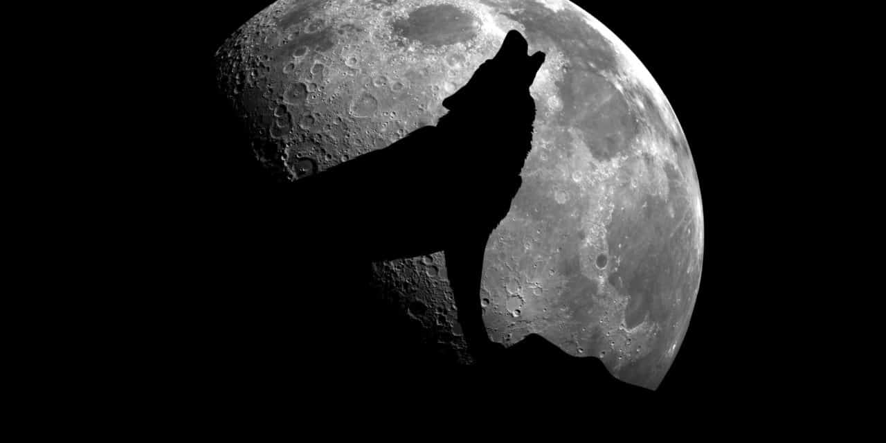 200.000 US-Dollar in 2022? Der Bitcoin-Kurs steigt mit seiner Adoption