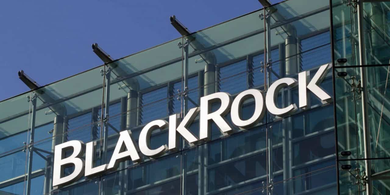 BlackRock-CEO: „Kryptowährungen können tolle Anlageklasse werden“