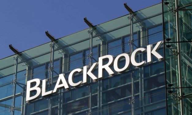 BlackRock-CEO: „Kryptowährungen können tolle Anlageklasse werden“
