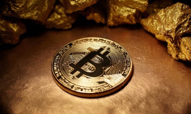 Bitcoin-Verbot unvermeidlich? Gedanken zur Debatte Bitcoin versus Gold