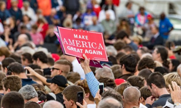 Mike Novogratz vergleicht Ripple Community mit Trump Supportern