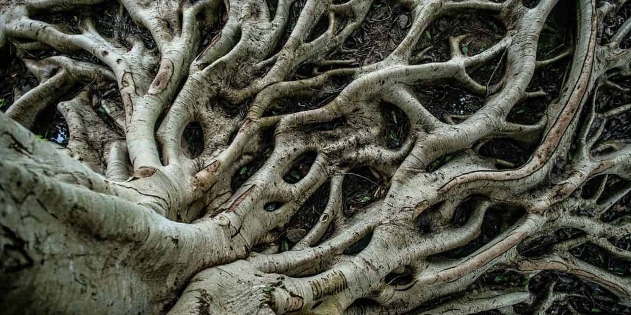 Auf der Zielgeraden: Diese Bitcoin-Miner unterstützen Taproot