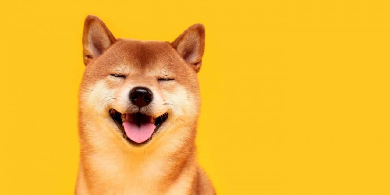 eToro katapultiert Dogecoin auf Rekordhoch