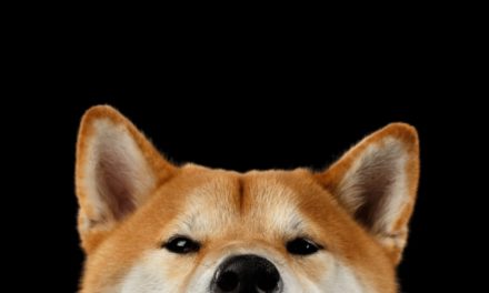 SHIBA INU (SHIB) stiehlt Dogecoin (DOGE) die Show
