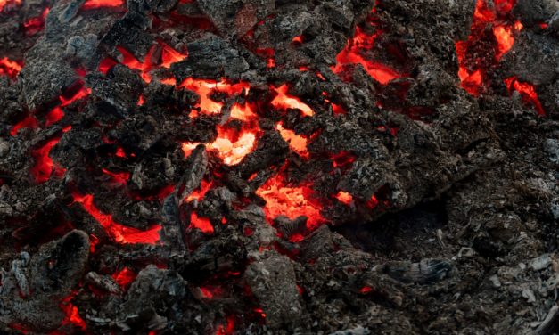Phönix aus der Asche: Lisk kehrt auf die Krypto-Bühne zurück