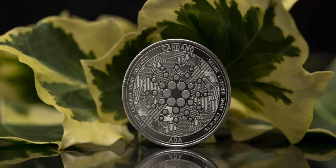 Neue Peer-to-Peer-Technologie soll Cardano (noch) dezentraler machen