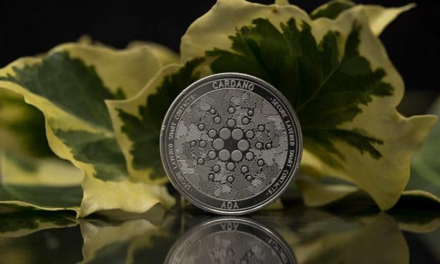 Neue Peer-to-Peer-Technologie soll Cardano (noch) dezentraler machen