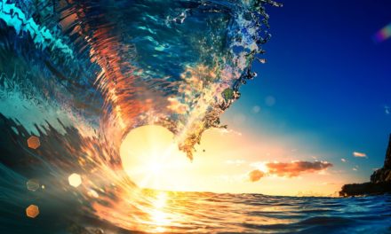 Wie bullish ist 2021? Bitcoins Halving-Zyklen geben Aufschluss