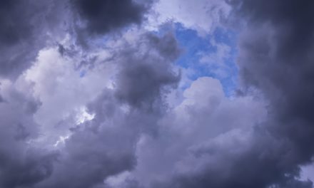 Nach dem Sturm: Erkenntnisse aus dem Bitcoin Flash Crash