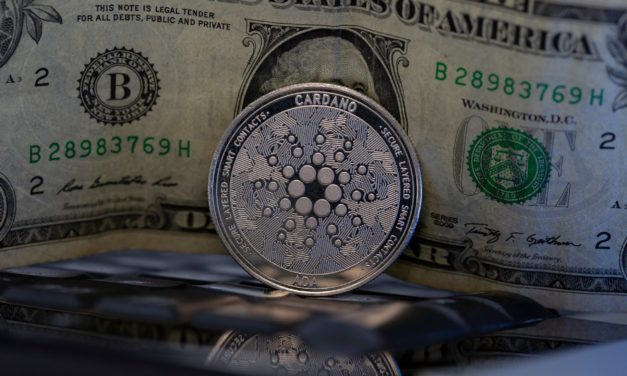Nach Krypto-Crash: Coinshares sieht institutionellen Inflow in Cardano