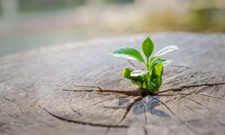 Starkes Kurswachstum: Starinvestor Mark Cuban setzt auf Polygon