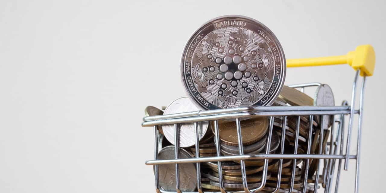 Cardano Staking: Wie man mit ADA ein passives Einkommen generiert