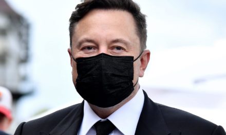 Staatsfeind Nr. 1: Wie Elon Musk Bitcoin zu schaffen macht