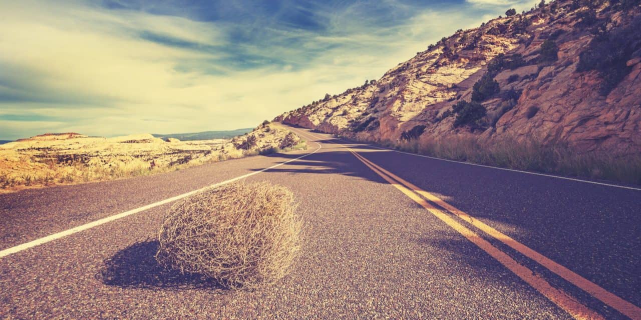 Bitcoin rangiert um 36.000 USD, Altcoins zeigen sich weiter bullish