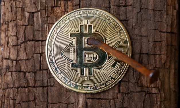 Totales Bitcoin-Verbot: Ein weltfremder Vorstoß aus den Niederlanden