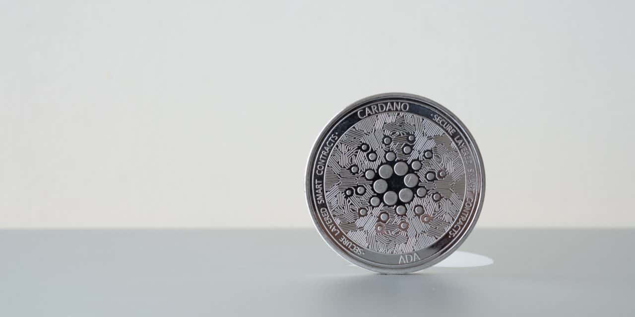 „Komische Sekte“: Mike Novogratz irritiert über Cardano-Marktwert