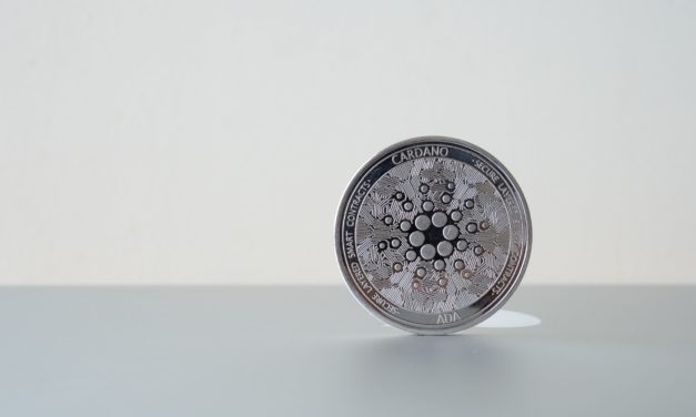 „Komische Sekte“: Mike Novogratz irritiert über Cardano-Marktwert