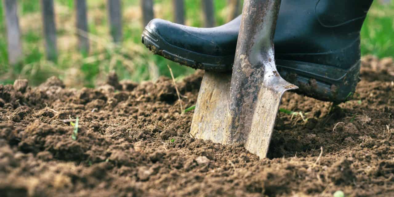 Decentraland-Grundstück für 913.000 US-Dollar verkauft