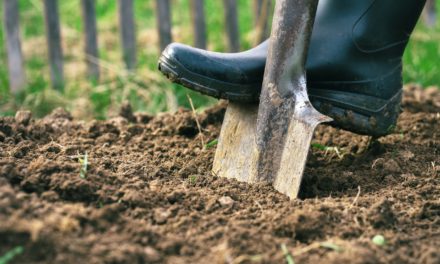 Decentraland-Grundstück für 913.000 US-Dollar verkauft