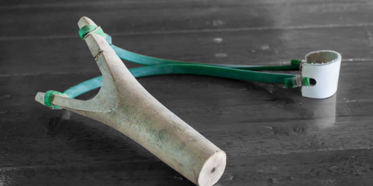 Ist Bitcoin unterbewertet? Pantera-CEO rät zum Kauf