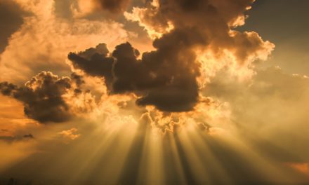 Unwetter vorbei? Bitcoin und Co. melden sich zurück