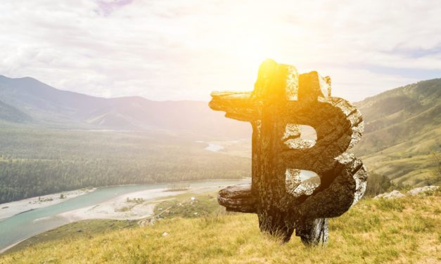 Blühende Landschaften? Deutschland belegt Platz 9 in Krypto-Ranking
