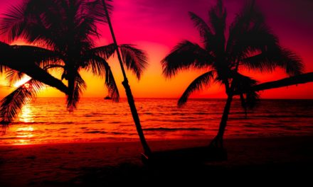 Bitcoin-Kurs: Sommerflaute hält an, Handelsvolumen auf 12-Monatstief